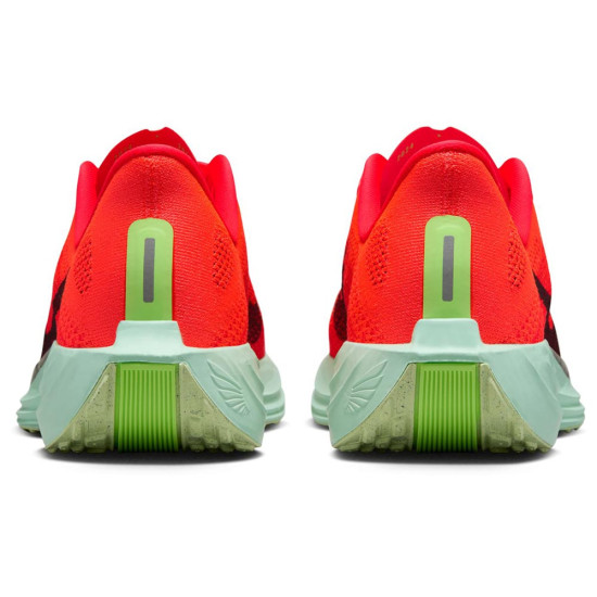 Nike Pegasus Plus